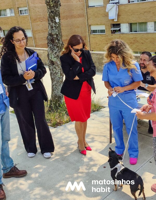 495211441_1136530755176648_1663954909929991755_n