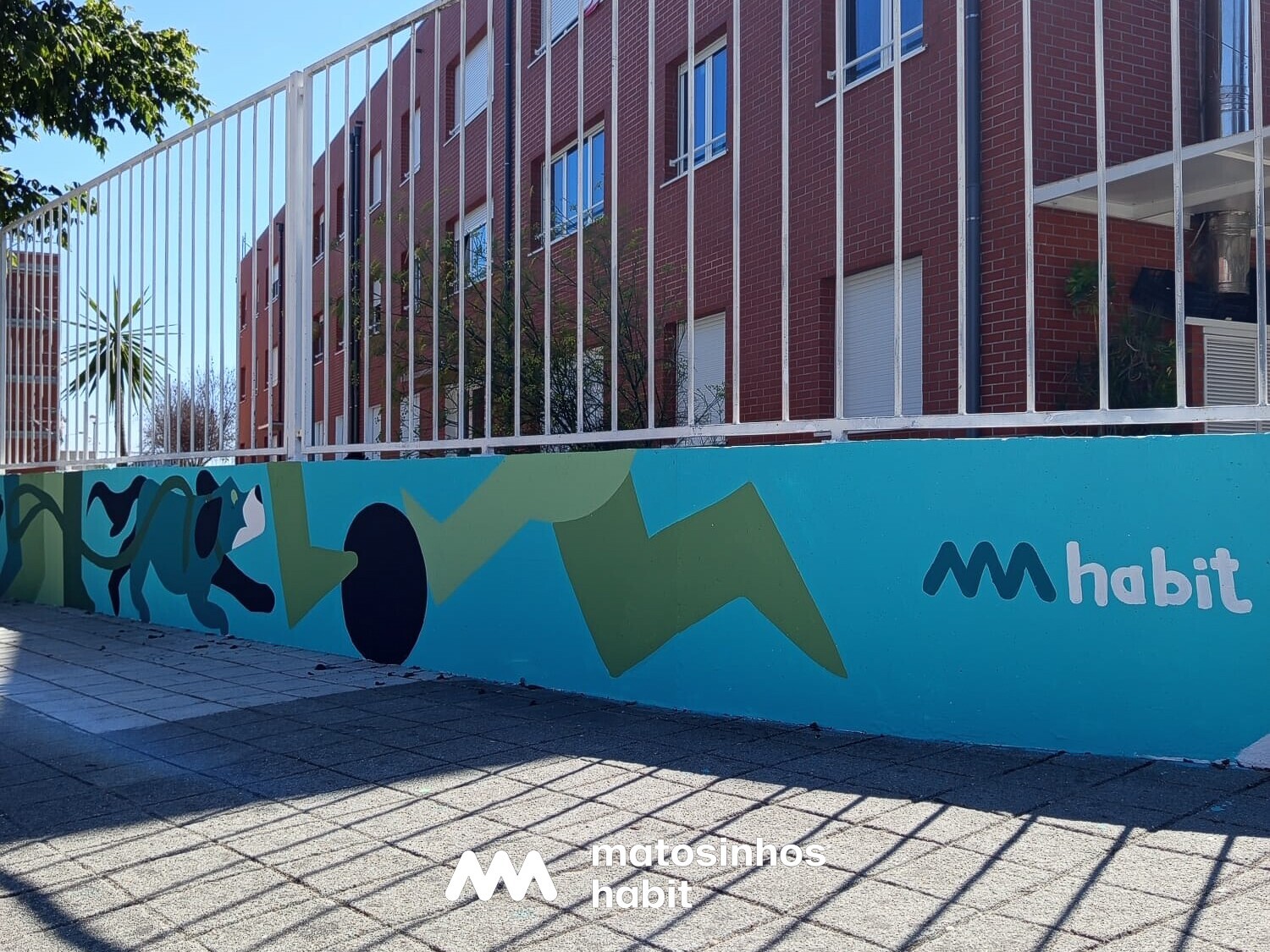 O Conjunto Habitacional do Seixo ganhou mais cor